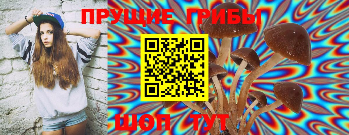 Дмитров  Псилоцибиновые грибы мухоморы  Псилоцибиновые грибы GOLDEN TEACHER  Вход с VPN 